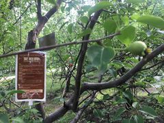 -黑龙江大学