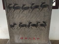 -上海醉白池公园