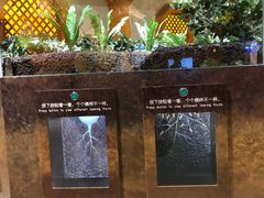 -佛山科学馆