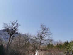 -北京鹫峰国家森林公园