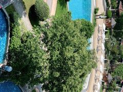 -上海东方佘山翰悦阁酒店·Vie全日制餐厅