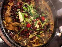 -老板恋上鱼(恒隆广场店)