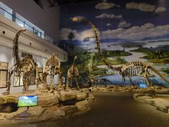 -自贡恐龙博物馆