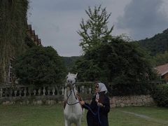 -梦娜斯庄园