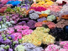 -双季花艺园艺市场(浦东店)