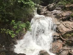 -九龙江国家森林公园