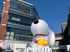 -中粮·祥云小镇