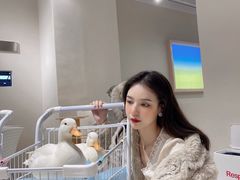 -怪兽屋·羊驼·猫咖·狗咖(俊华广场店)