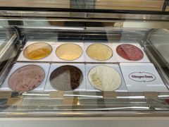 -哈根达斯(龙湖时代天街店)