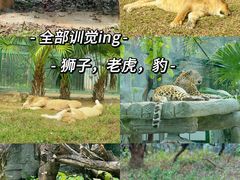 -广州动物园