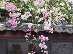-深圳国际园林花卉博览园