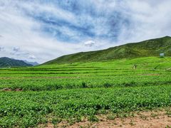 -扁都口生态休闲旅游区