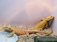-昆明大悦城未来动物城(螺蛳湾中心店)