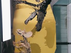 -湖南省地质博物馆