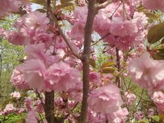 -长白岛森林公园