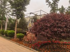 -南宫五洲植物乐园