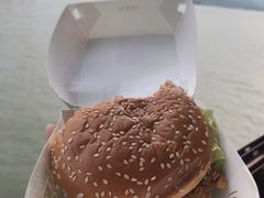 -西湖游船