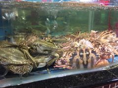 -海大大蒸汽海鲜餐厅·粤菜·特色小炒(欢乐颂店)