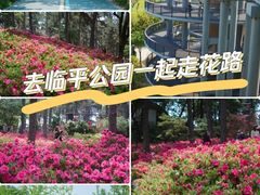 -临平公园(临平街道)