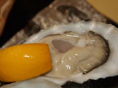 -鲤·鮨KOISUSHI