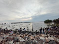 -宝安西湾红树林湿地公园