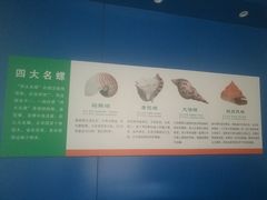 -上海海洋大学鱼文化博物馆(军工路校区)