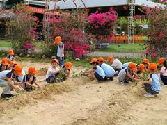 -三亚吉阳区星河实验幼儿园