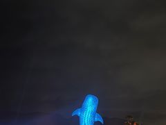 -长隆横琴湾酒店(珠海旗舰店)