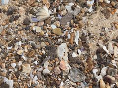 -那香海钻石沙滩浴场