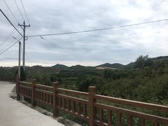 -军营村
