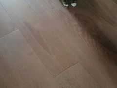-北京观赏动物医院·24小时大型综合·猫专科·异宠专科