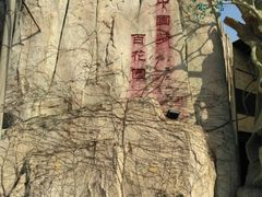 -龙大花卉苗木市场