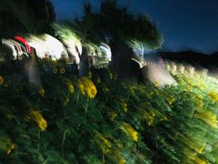-霞山观海长廊