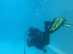 -上海潜殿潜水中心