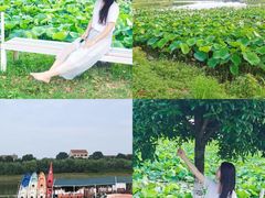 -梁子湖东篱老屋生态庄园