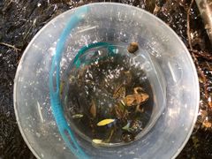 -碓臼峪自然风景区