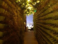 -顶层酒吧ROOF(上海艾迪逊酒店)