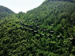 -蝶舞清江·恩施地心谷景区