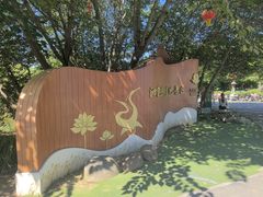 -泗洪洪泽湖湿地景区