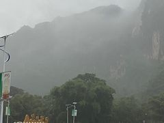 -明仕田园