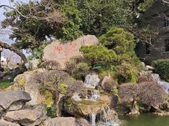 -江心屿景区