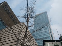 -上海静安香格里拉大酒店