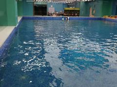 -Swim斯卫姆国际儿童游泳中心(红博中央公园店)