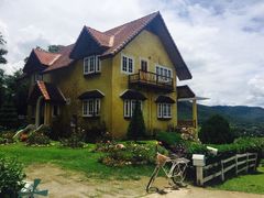 -黄色小屋