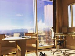 -拉斯维加斯永利酒店