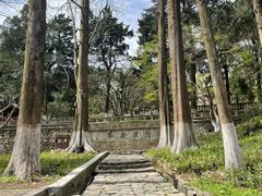 -莫干山风景区