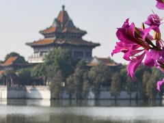 -顺峰山公园