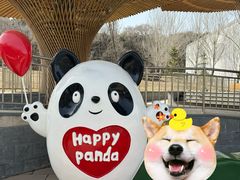 -沈阳森林动物园