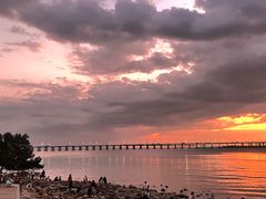 -宝安西湾红树林湿地公园