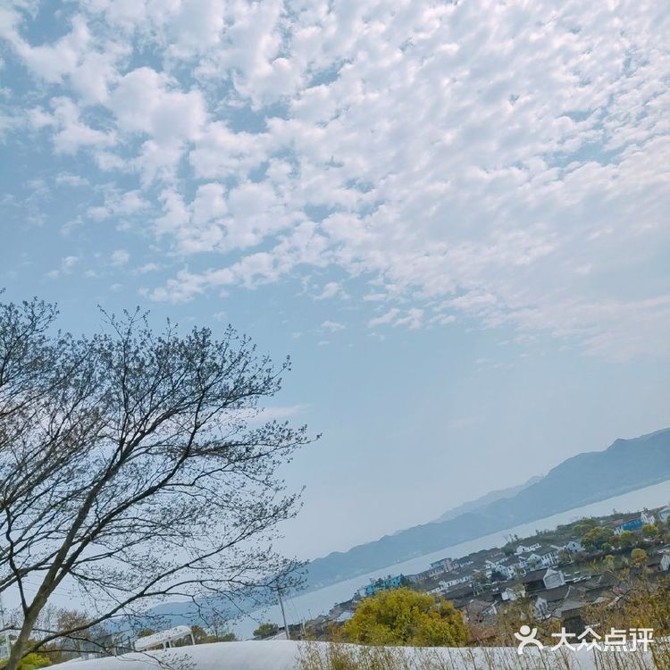 统统免费，补钙，吸氧，拍照